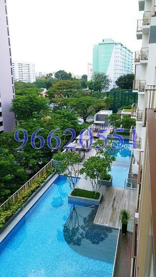 eCO (D16), Condominium #165891822